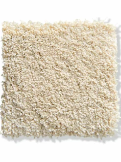 Amador|Kibek Clearance