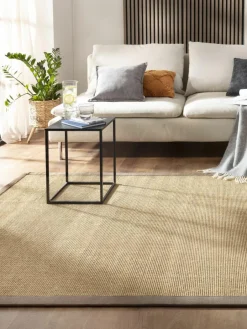 Aruba Colour|Kibek Sale