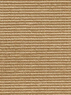 Aruba Nature|Kibek Clearance