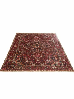 Bachtiar|Kibek Clearance