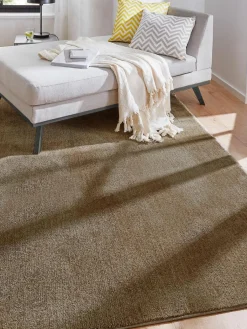 Barinas|Kibek Sale