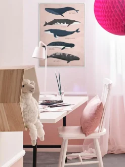 Big Whales|Kibek New