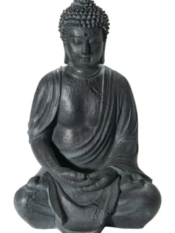 Buddha Easy|Kibek