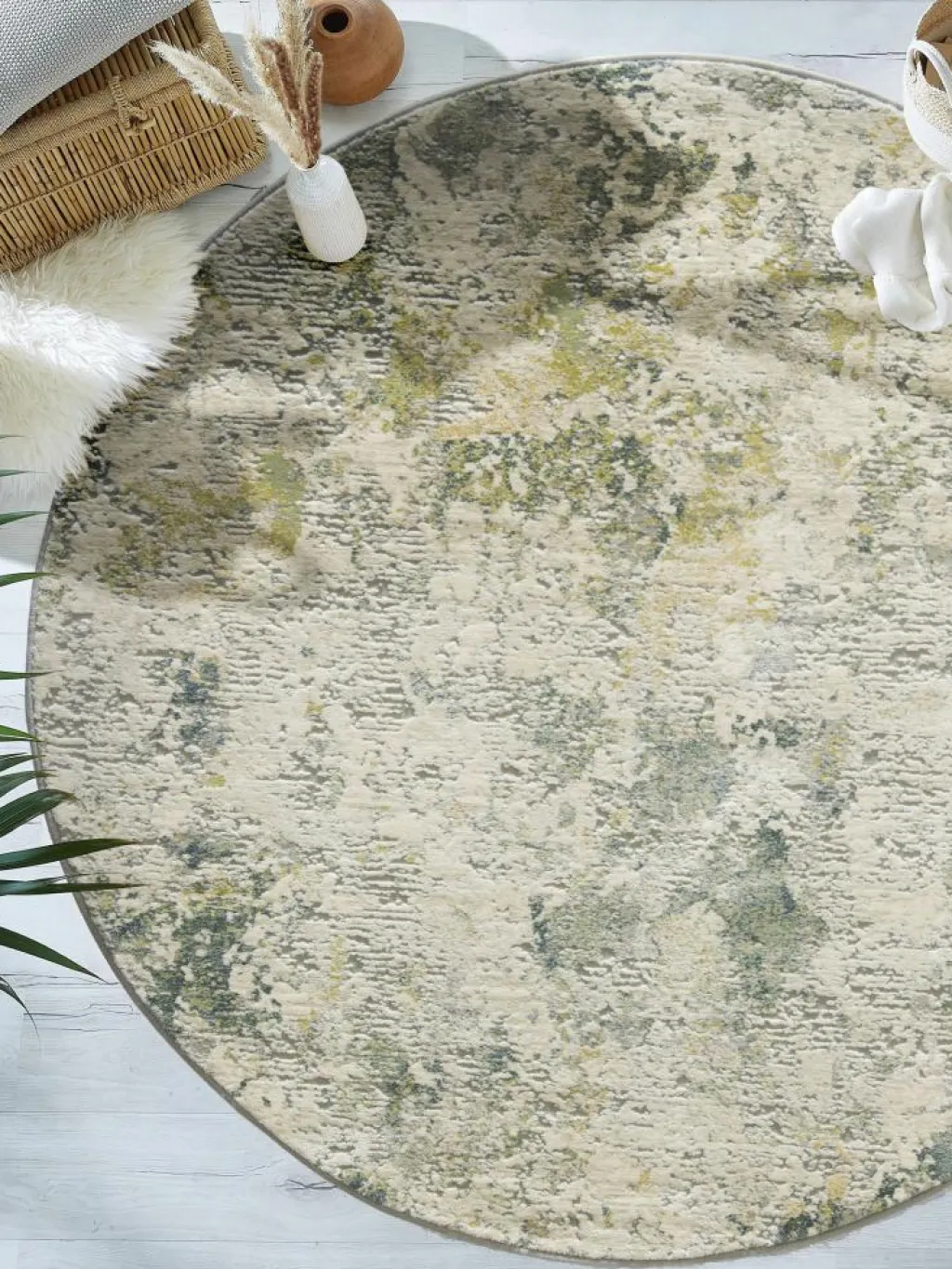 Calanthe|Kibek Discount