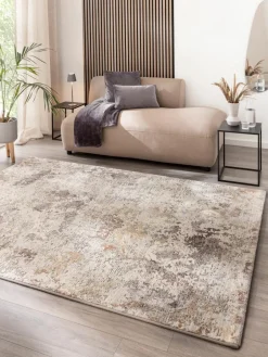 Calanthe|Kibek Sale