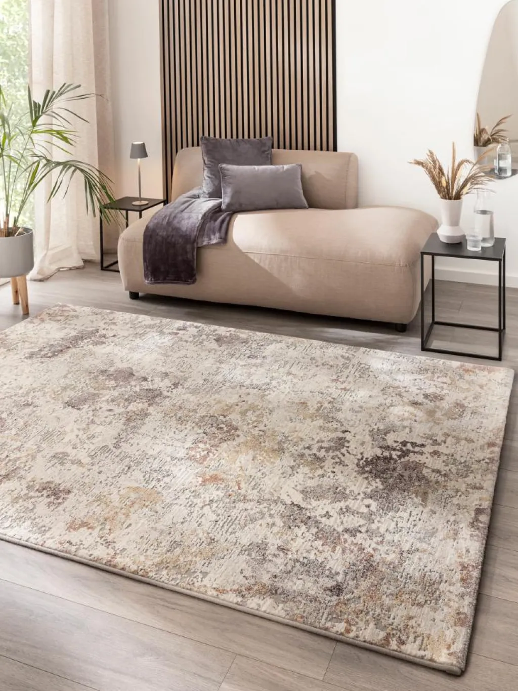 Calanthe|Kibek Sale