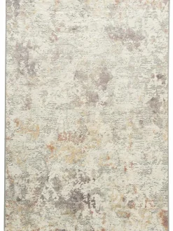 Calanthe|Kibek Sale