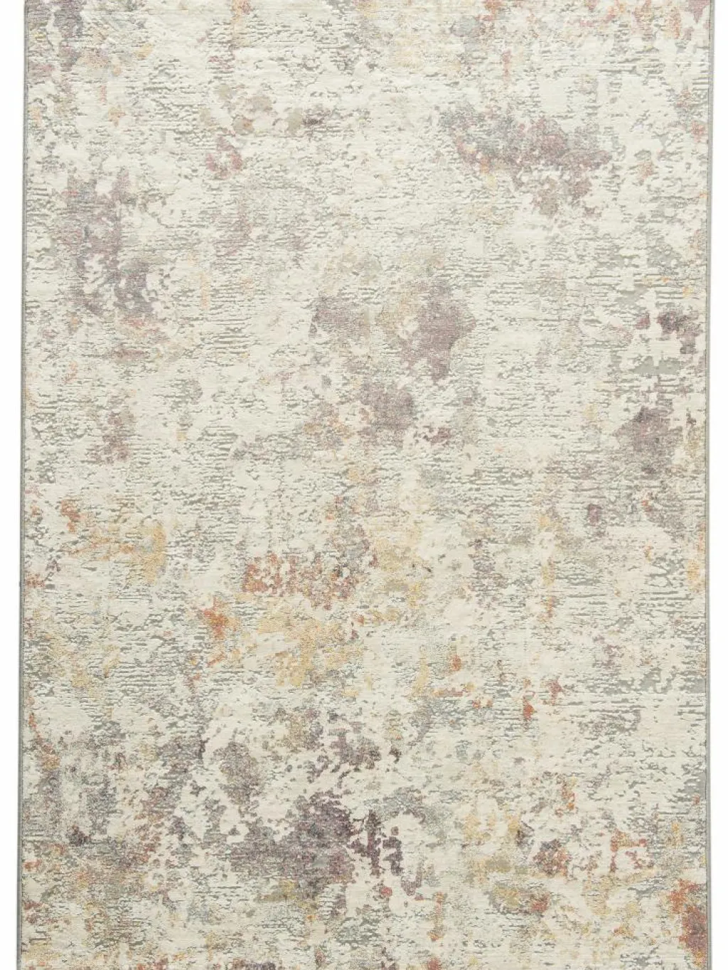 Calanthe|Kibek Sale