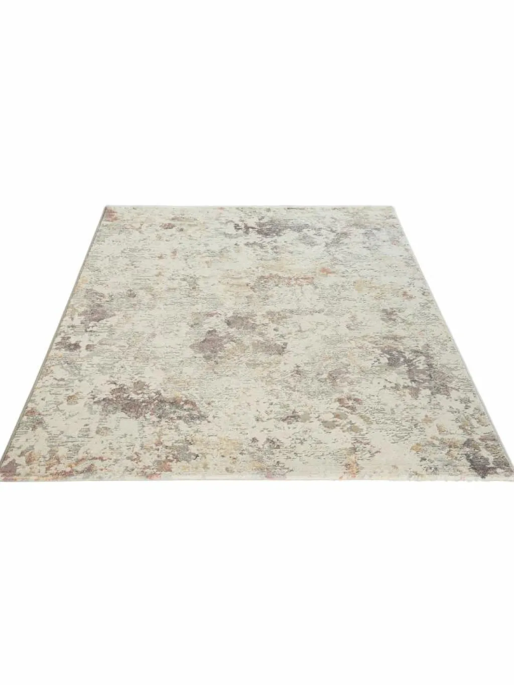 Calanthe|Kibek Sale