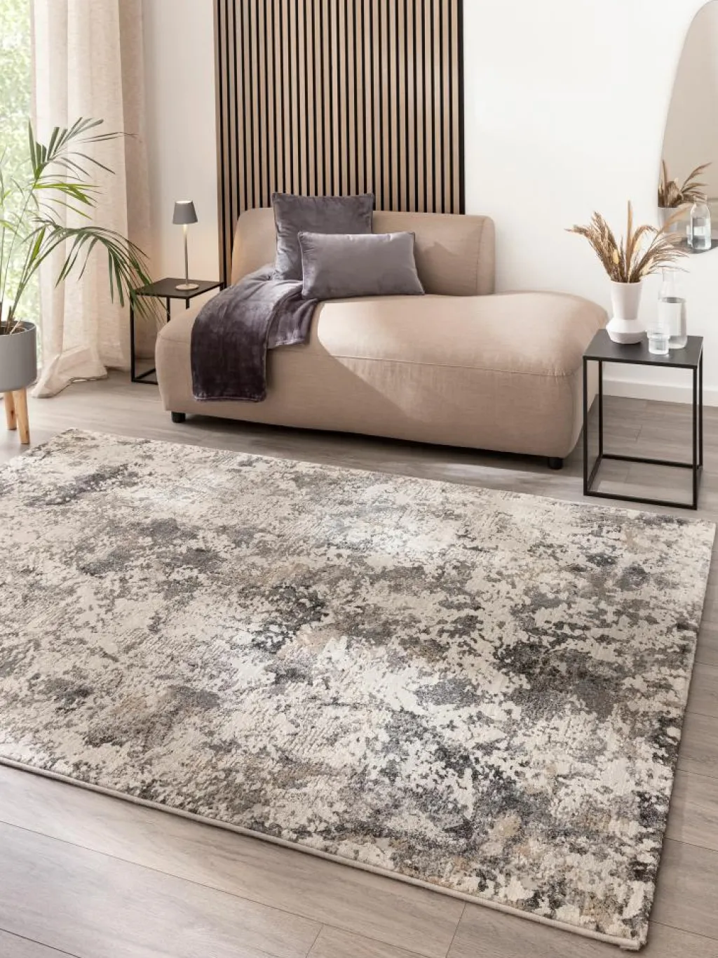 Calanthe|Kibek New