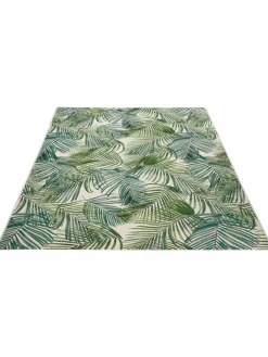 Galapagos|Kibek Sale
