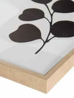 Hoja|Kibek Clearance