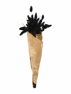 Lagurus|Kibek