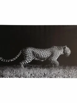 Leopard auf der Jagd|Kibek Outlet
