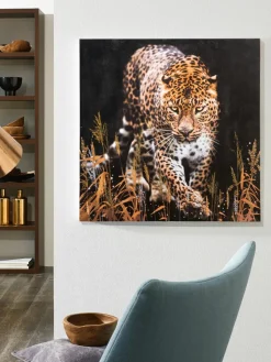 Leopard im Gras|Kibek Sale