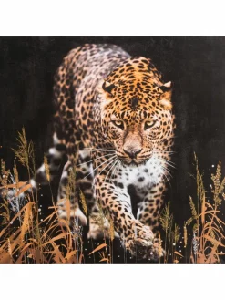 Leopard im Gras|Kibek Sale