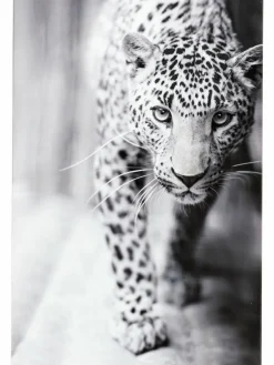 Leopard Watch|Kibek New