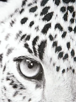 Leopard Watch|Kibek New