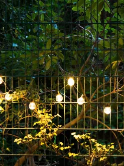 Light Bulb|Kibek Discount