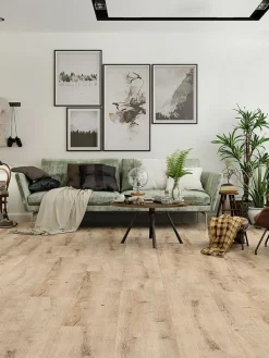 Natura XXL|Kibek Discount