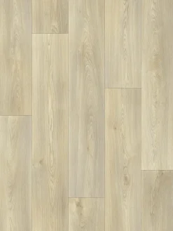 Nature Royal|Kibek New