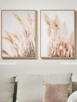 Pampas Para|Kibek