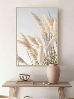 Pampas Wind|Kibek Hot