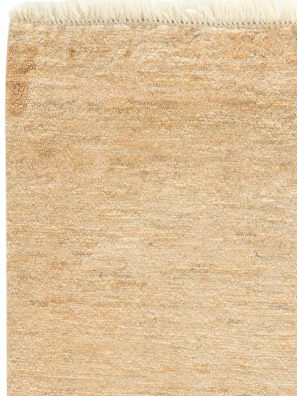 Persischer Loribaff|Kibek Sale