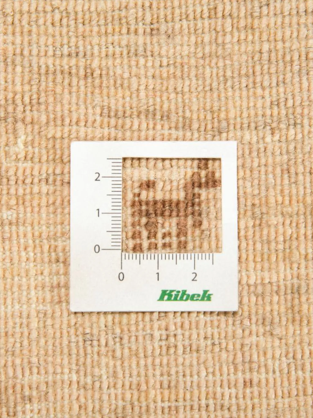 Persischer Loribaff|Kibek Sale