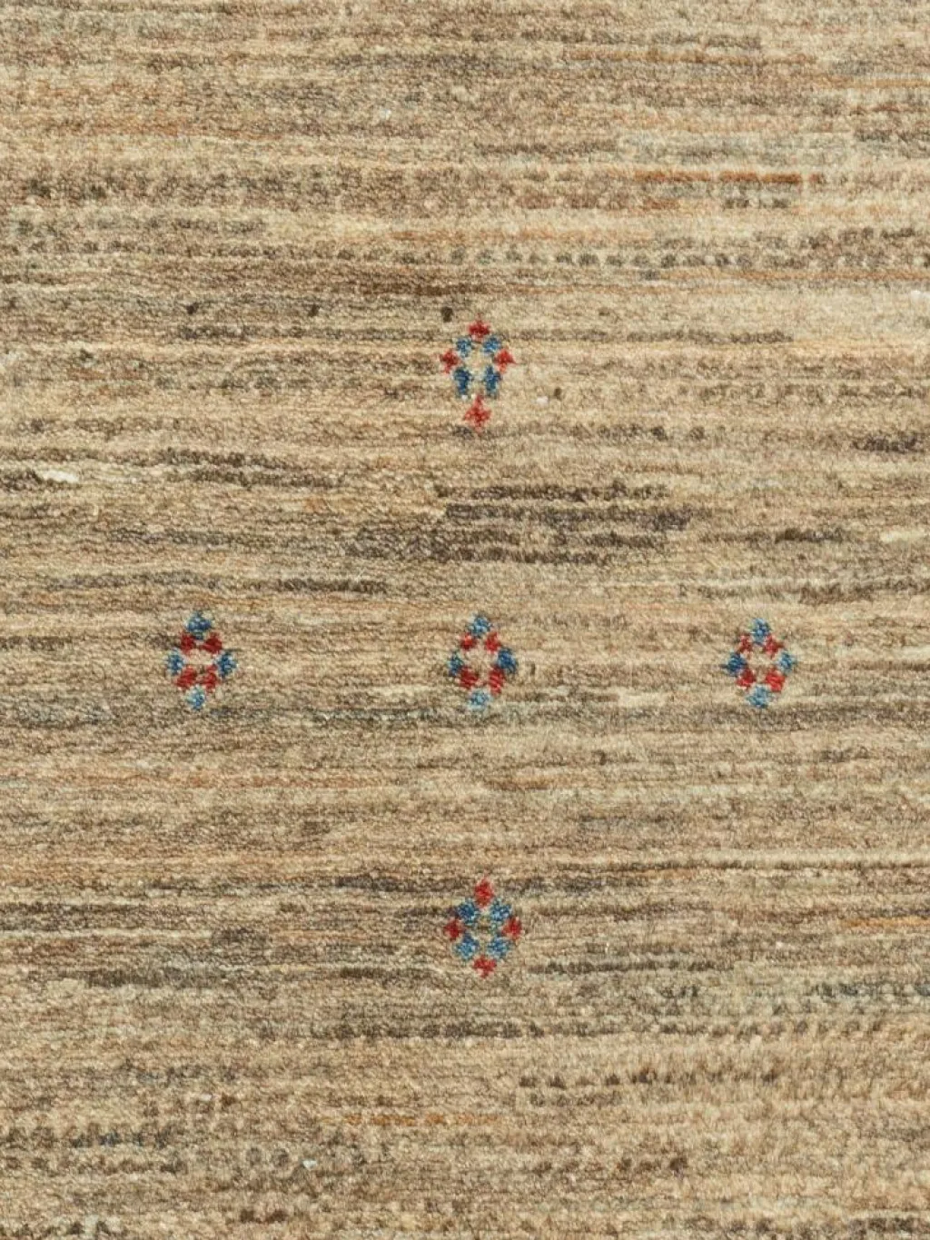 Persischer Loribaff|Kibek Sale