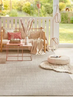Proteus|Kibek Outlet