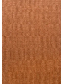 Proteus|Kibek Sale