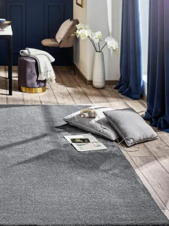 Sensation|Kibek New