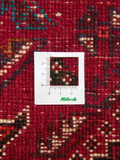 Shiraz|Kibek