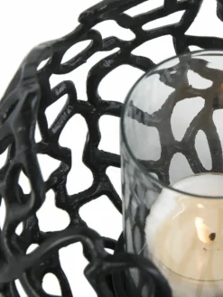 Silba|Kibek Clearance