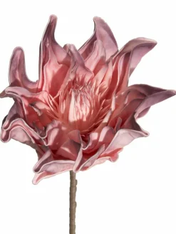 Softflower|Kibek Hot