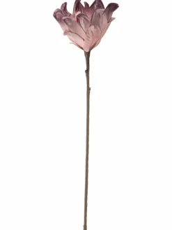 Softflower|Kibek Hot