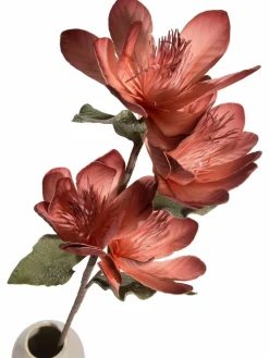 Softflower|Kibek Online