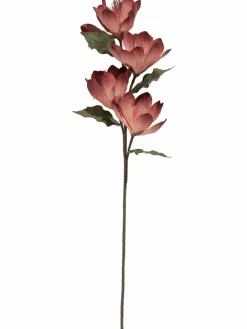 Softflower|Kibek Online