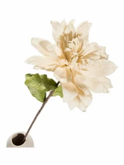 Softflower|Kibek Best
