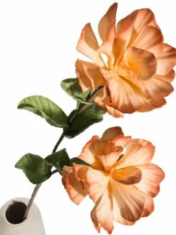 Softflower|Kibek Sale