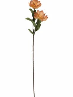 Softflower|Kibek Sale