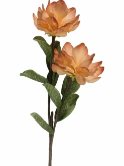 Softflower|Kibek Sale