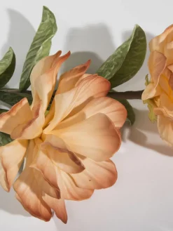 Softflower|Kibek Sale