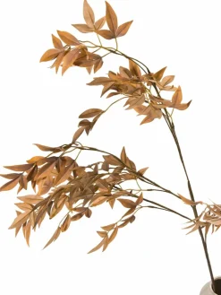 Softleaves|Kibek Clearance
