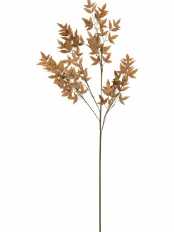 Softleaves|Kibek Clearance