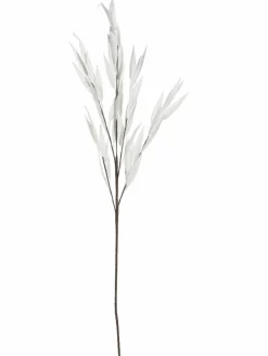 Softleaves|Kibek Sale