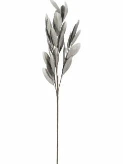 Softleaves|Kibek