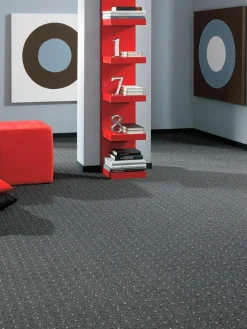 Speedy|Kibek Clearance