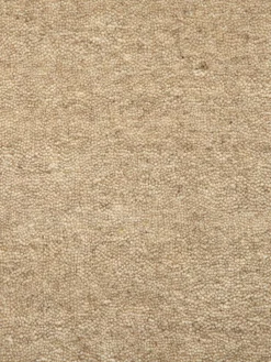 Tamesna|Kibek Discount